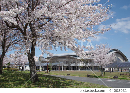 Daihatsu Arena 64008981