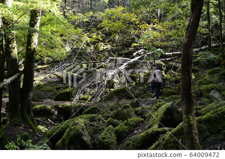 Kurokawa mountain trail 64009472