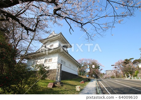 大手門遺址側塔和櫻花 64009610