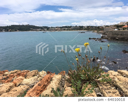 法國昂蒂布地中海鮮花蔚藍海岸尼斯戛納度假村 64010018
