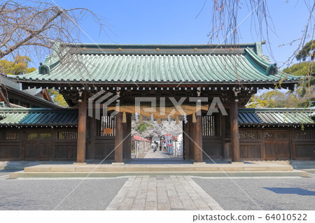 [Shizuoka Prefecture] Mishima Taisha Shrine in full bloom (Somon) 64010522