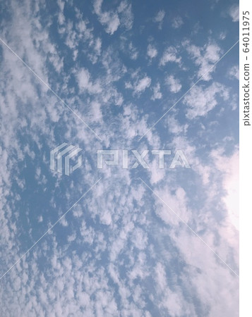 Sky Sky 64011975