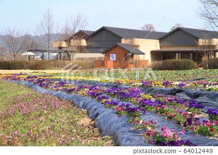 Chihiro Azumino Art Museum in Spring 64012449