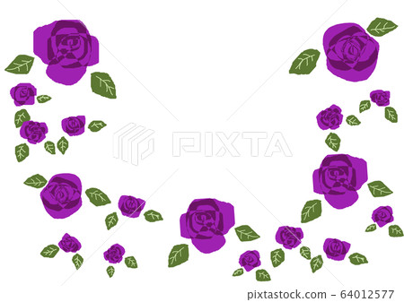 Purple Roses 64012577
