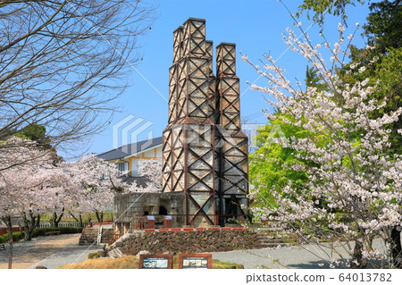 [Shizuoka] Nirayama reverberatory furnace with cherry blossoms in full bloom 64013782