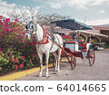tourist cart with a horse near the hotel in Cuba 64014665
