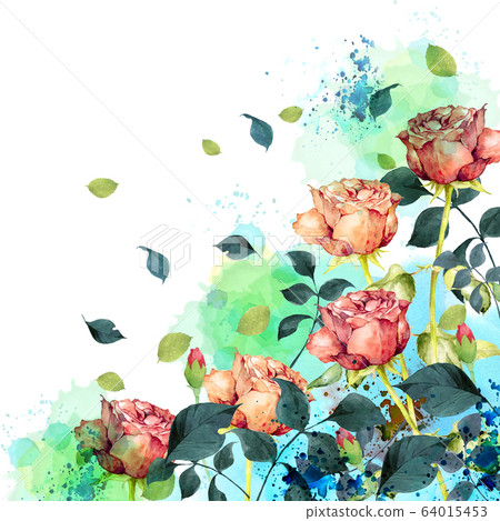 Rose watercolor Rose watercolor 64015453
