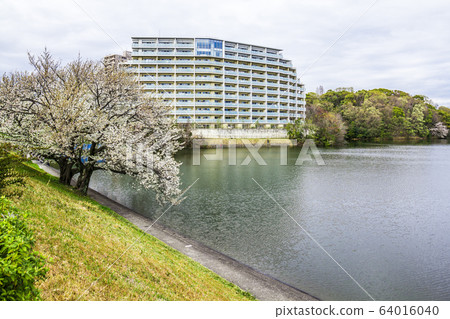 愛知縣名古屋市Nekaga-Dori池塘 64016040