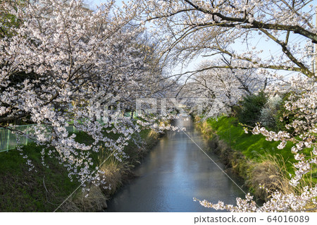 愛知縣名古屋市 愛知縣名古屋市 64016089