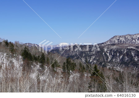 Winter forest area seen from Nakayama Pass 64016130