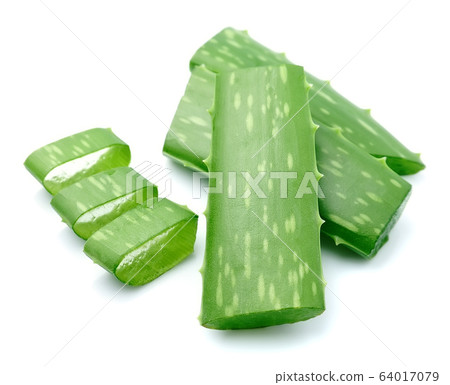 Aloe vera flowers isolated on white backgrounds. 64017079