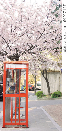 Payphone 64017167