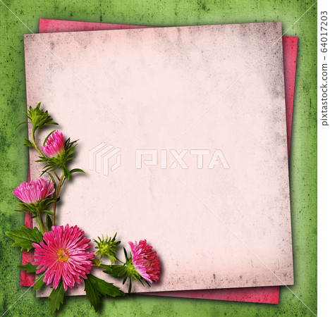 Aster flowers on vintage background 64017203