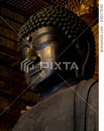 Todaiji Daibutsuden Rosha Nabutsu statue, right 64017640