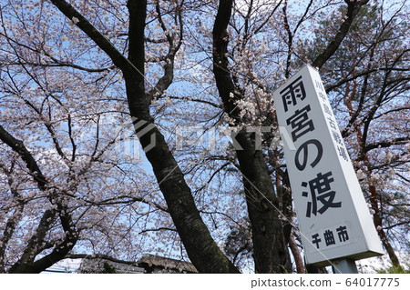 Amemiya Pass 64017775