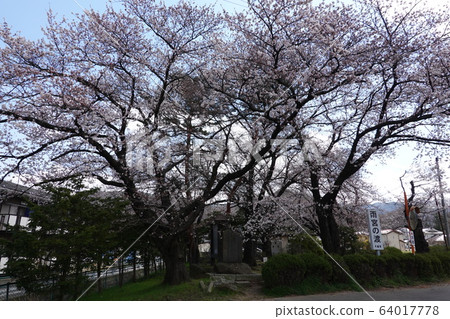 Amemiya Pass 64017778