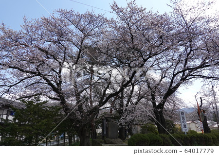 Amemiya Pass Amemiya Pass 64017779