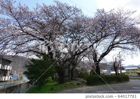 Amemiya Pass 64017781