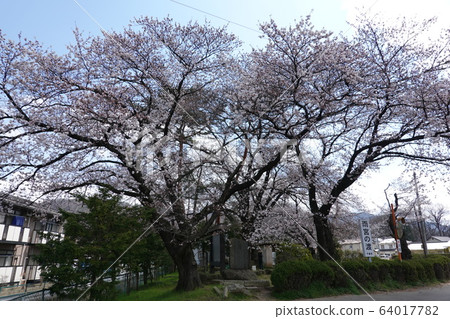 Amemiya Pass 64017782