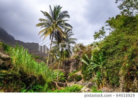 Paul Valley landscape in Santo Antao island, Cape 64018929