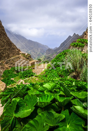 Paul Valley landscape in Santo Antao island, Cape 64018930
