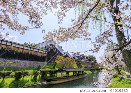 Fushimi Sakura Fushimi Sakura 64019285