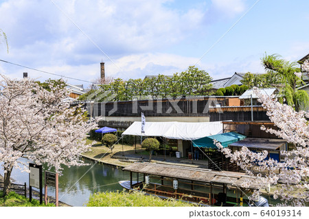 Fushimi Sakura 64019314