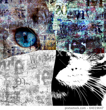 Close up view of cat with green eyes. Cut portrait. Pets and lifestyle concept. 64019647