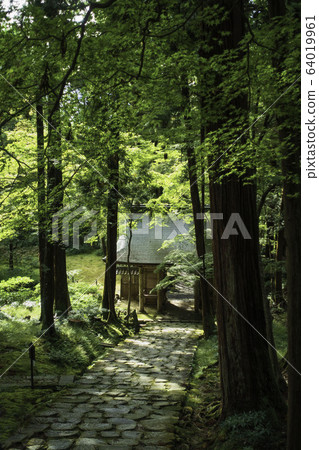 滋賀縣琴山山百濟寺的尼蒙門和鵝卵石通道景觀 滋賀縣琴山山百濟寺的尼蒙門和鵝卵石通道景觀 64019961