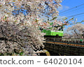 奈良和佐敦川的櫻花和火車 64020104