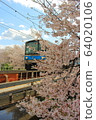 奈良和佐敦川的櫻花和火車 64020106