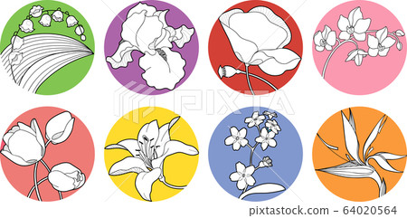 set of vector spring blossom, wildflower, iris, orchid, forget-me-not, strelitzia, may-lily, lily, poppy, tulip set of vector spring blossom, wildflower, iris, orchid, forget-me-not, strelitzia, may-lily, lily, poppy, tulip 64020564