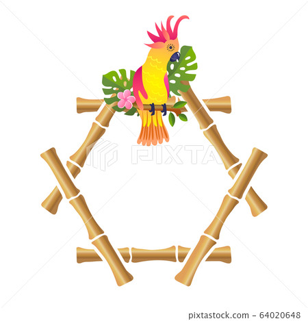 bamboo frame with parrot on white background vector illustration 64020648