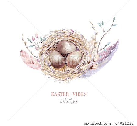 Hand drawn watercolor bird nest with eggs, easter spring design 64021235