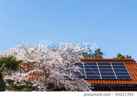 Eco House_Solar Panel, Cherry Blossoms and Sky 64021393