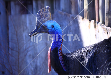 Hikidori Hikidori 64021916