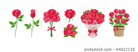 玫瑰，花束，玫瑰，植物，矢量插圖，花束 64022138