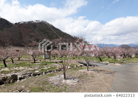 Anzu沒有佐藤素描公園 64022313