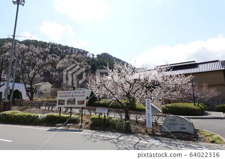 Anzu沒有佐藤素描公園 64022316