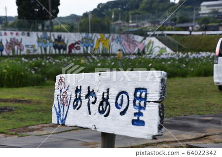 y菜的佐藤徵 y菜的佐藤徵 64022342