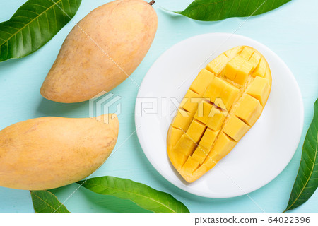 Ripe mango fruit sliced to cubes on white plate and leaf on pastel color background, tropical fruit, top view Ripe mango fruit sliced to cubes on white plate and leaf on pastel color background, tropical fruit, top view 64022396