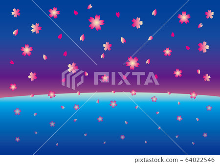 夜晚的櫻花 夜晚的櫻花 64022546