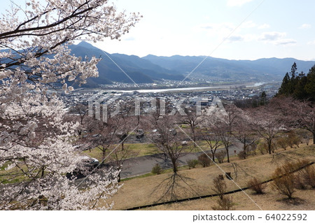 德久基蒂貓公園 64022592