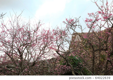 今歸仁城堡 64022639