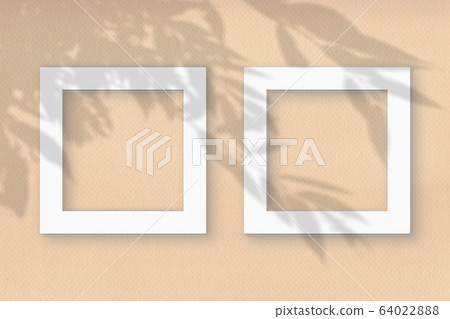 The 2 square frames on a pastel beige wall The 2 square frames on a pastel beige wall 64022888