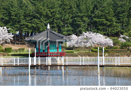 八角形櫻花池 八角形櫻花池 64023058