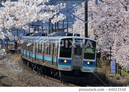 Series 211 Sakura Katsunuma Grape Township Series 211 Sakura Katsunuma Grape Township 64023548