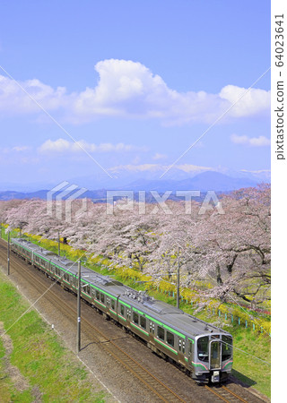 View from Sakura Miyagi Funaoka Castle Ruins Park 64023641