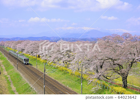 View from Sakura Miyagi Funaoka Castle Ruins Park 64023642