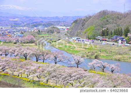 View from Sakura Miyagi Funaoka Castle Ruins Park 64023668